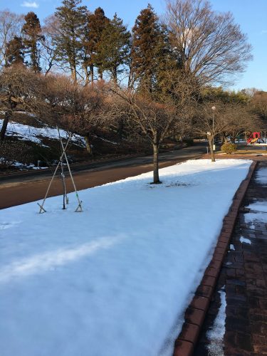 千葉県柏市あけぼの山公園内。大雪のおかげで雪まみれ