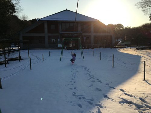 千葉県柏市あけぼの山公園内。大雪のおかげで雪まみれ